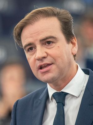 말리크 아즈마니는 2019년부터 유럽 의회에서 활동하고 있다.