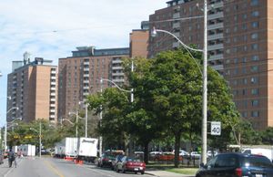 토론토 도심의 Moss Park.