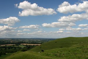 토마스 하디의 소설 더버빌 가의 테스의 주요 배경인 블랙모어 계곡. 햄블던 언덕에서 스토턴 타워로