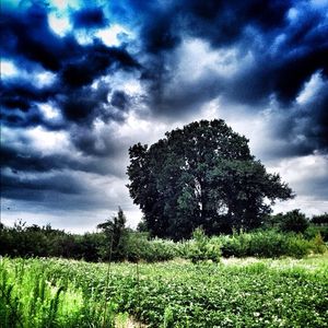 "폭풍이 오고 있다"는 아이폰그래피의 예시