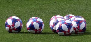 결승전 공식구인 트리콜로 19