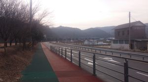 부림로 구간(의령군 부림면)