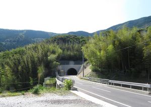 쓰시마 최장 사스자카 터널(이즈하라)