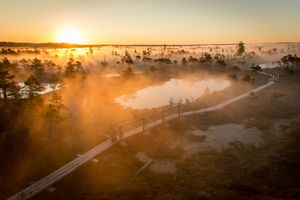 해 질 녘의 Ķemeri 늪