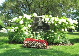 토론토 요크 묘지에 있는 팀과 로리 호턴의 묘