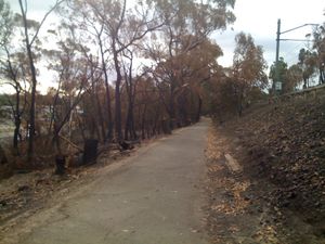 화재로 피해를 입은 링우드 – 벨그레이브 철도길 주변 덤불, 어퍼 펀트리 걸리