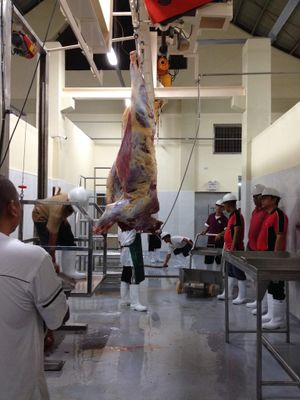 시 "더블 A" 표준 할랄 도축장