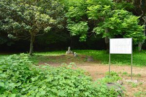 이키 섬 분사 터