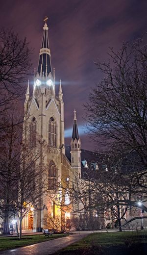 밤의 성심 성당