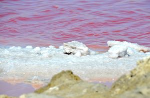 발리스 만의 바다 소금 증발 연못. 할로필 유기체가 빨간색을 띠고 있다.