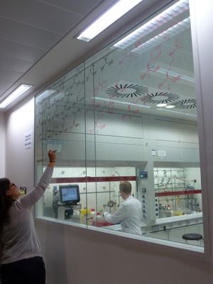 2013년 6월, 새로운 LMB 건물 내 연구실