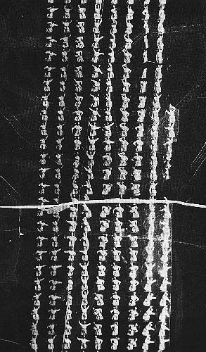 에디슨이 개발 초기에 고안한 실린더식 키네토그래프로 시험 촬영한 『몽키샤인즈』(1889년 또는 1890년경)의 필름 시트.