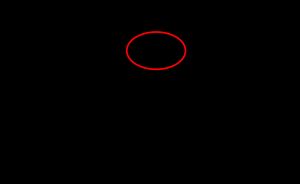 5-메틸시토신이 형성될 때 메틸기가 추가되는 위치