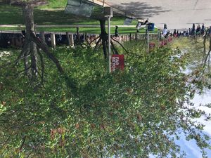 스토니브룩 대학교 캠퍼스 전경