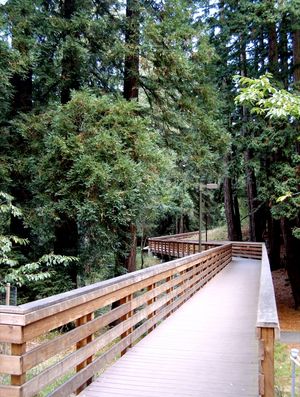 Bridge across ravine.