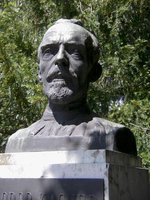 테오도어 코허의 흉상 (제작: 카를 헤니)