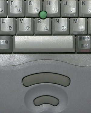 1990년대 중반 도시바 노트북의 포인팅 스틱. 키보드 아래의 두 버튼은 컴퓨터 마우스 역할을 한다: 상단 버튼은 왼쪽 클릭, 하단 버튼은 오른쪽 클릭에 사용된다.