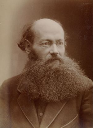 1876년의 크로폿킨