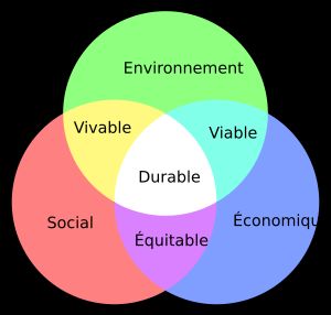 지속 가능성을 세 가지 차원이 겹치는 영역으로 간주하는 지속 가능성 벤 다이어그램