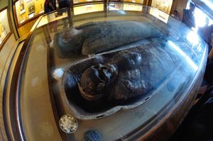 인도 박물관, 콜카타의 이집트 인간 미라