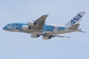 전일본공수의 A380 '플라잉 호누' (JA381A)