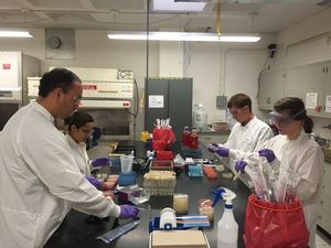 식품 과학 실험실에서 작업하는 학생들