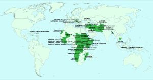방글라데시 군의 UN 평화 유지군 지도