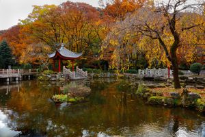 일본-중국 우호 정원, 기후