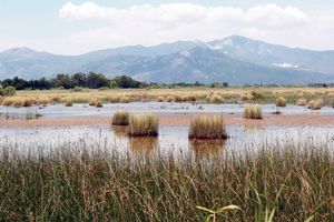 마라톤의 습지.