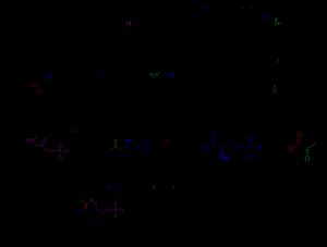 DXP 의존적 PLP 생합성 경로