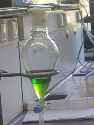 엽록소는 유기 용매에서 진한 녹색 용액을 형성한다.