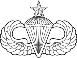 수석 강하 훈련사 배지