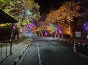 디왈리 기간의 IIT 칸푸르