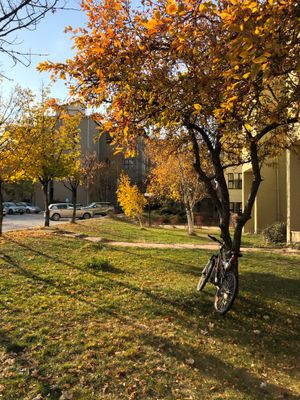 빌켄트 대학교 본교