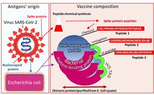 에피박코로나: 항원 기원 및 조성