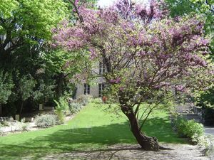 생시앙스포(Sciences Po) 정원, 뤼 생 귀욤(Rue Saint-Guillaume)과 뤼 데 생 페르(Rue des Saints-Pères) 사이