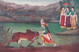 캄바의 카오(황소) 포획