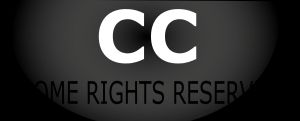 CC 일부 권리 유보