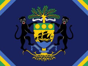 가봉의 대통령기 (2016년 ~ 현재)