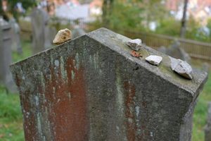 독일 유대교 묘지의 묘비에 놓인 작은 돌들