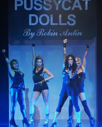 미국의 대표적인 걸 그룹인 푸시캣 돌스의 공연 모습.