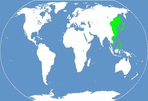 영화 속 대일본 제국의 세계 지도