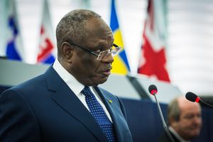 유럽 의회에서 연설하는 케이타 (2013년)