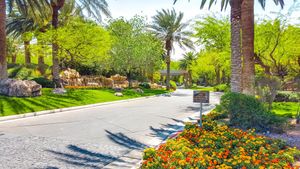 헨더슨의 맥도날드 하이랜드 입구