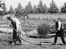 루이 뤼미에르 감독의 《물 뿌리는 사람(L'Arroseur Arrosé)》