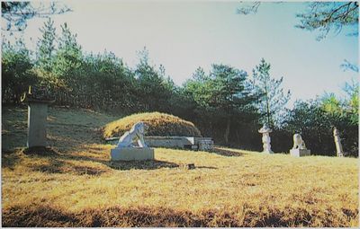 돈암 손기남의 묘