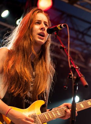 2013년 공연 중인 하임