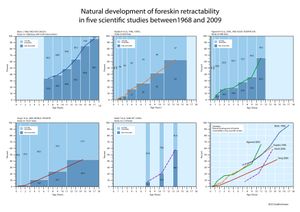 포피가 자연적으로 뒤로 젖혀지는 정도를 나타내는 그림