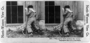 "'The early bird catches the worm'" 1900년 노스웨스턴 뷰 컴퍼니(North-Western View Co.)가 위스콘신 주 바라부(Baraboo, Wisconsin)에서 발행한 스테레오 사진, 디지털 복원