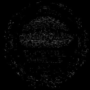 보스턴 시장 당선